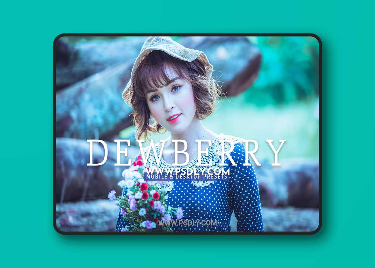 CreativeMarket - Dewberry Pro Lightroom Presets 7469785