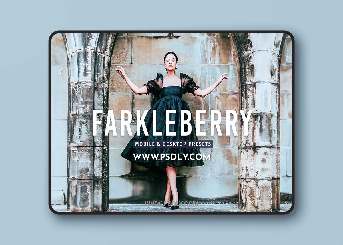 CreativeMarket - Farkleberry Pro Lightroom Presets 7469788