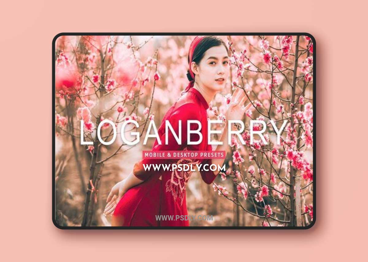 CreativeMarket - Loganberry Pro Lightroom Presets 7473584