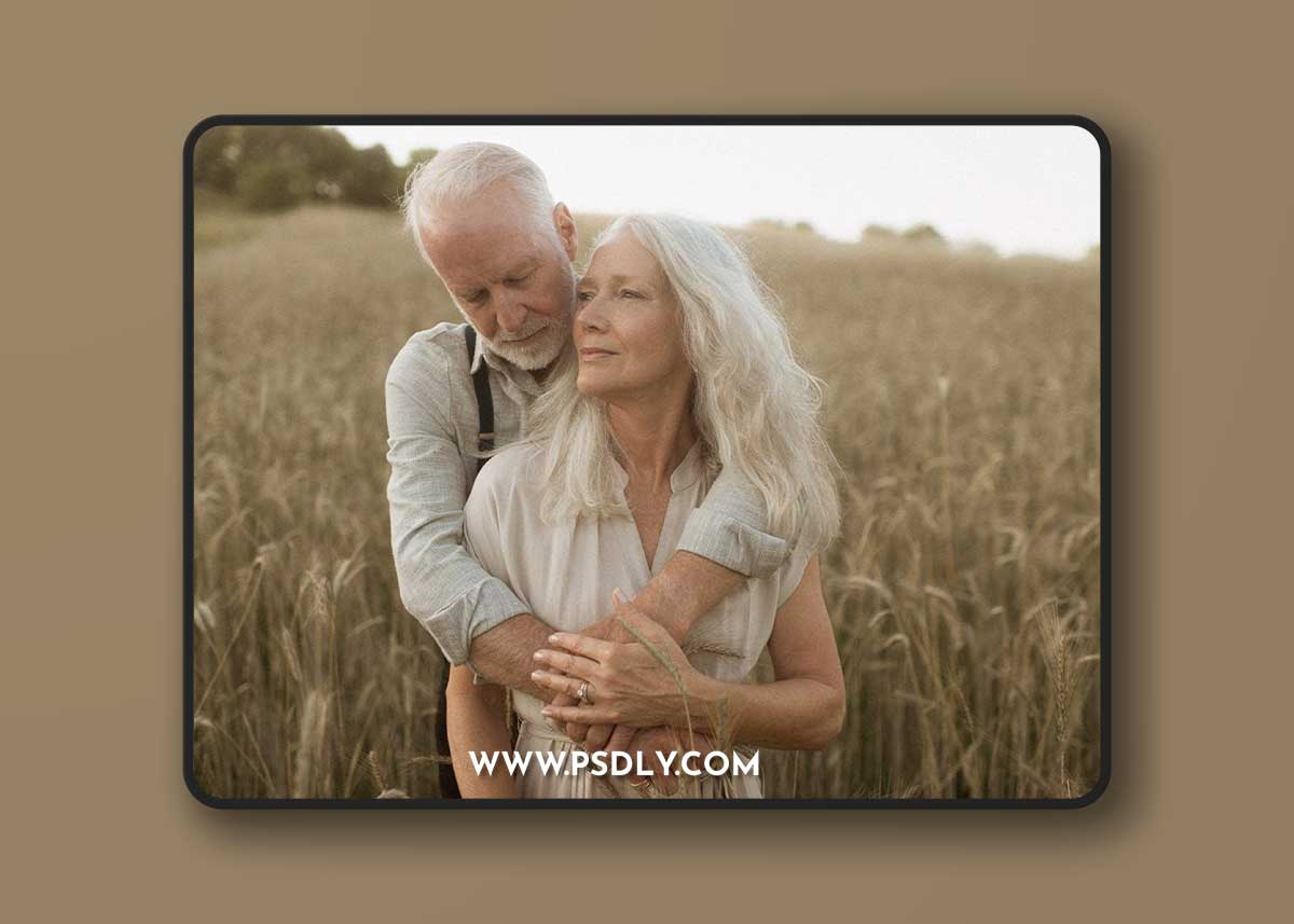 Meridian - Slate & Ivory - Decades Presets