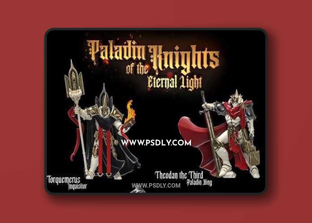 Paladin Knights of the Eternal Light 3D Print