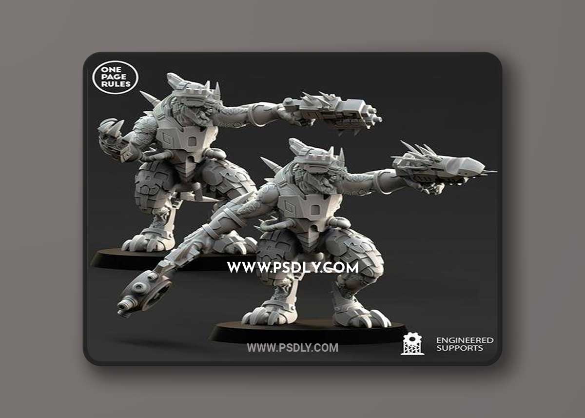 SSH - Veteran – 3D Print Model