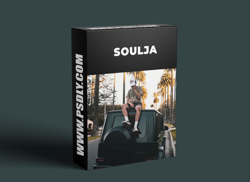 Soulja The Beginners Dropshipping Course Download