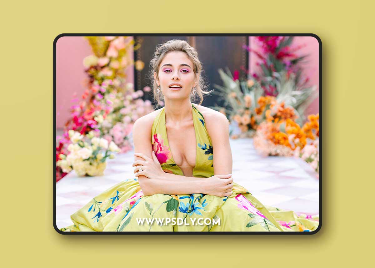 The Mary Costa Collection - Kindred Presets