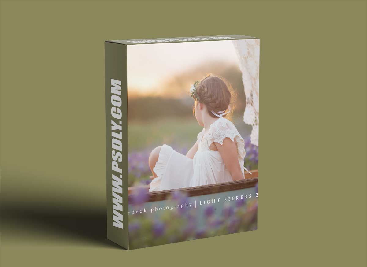 Light Seekers 2 – A Clickin Moms Breakout