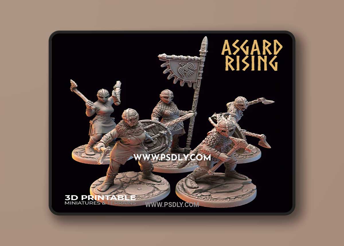 Shieldmaiden 2 3D Print 3D Modeld