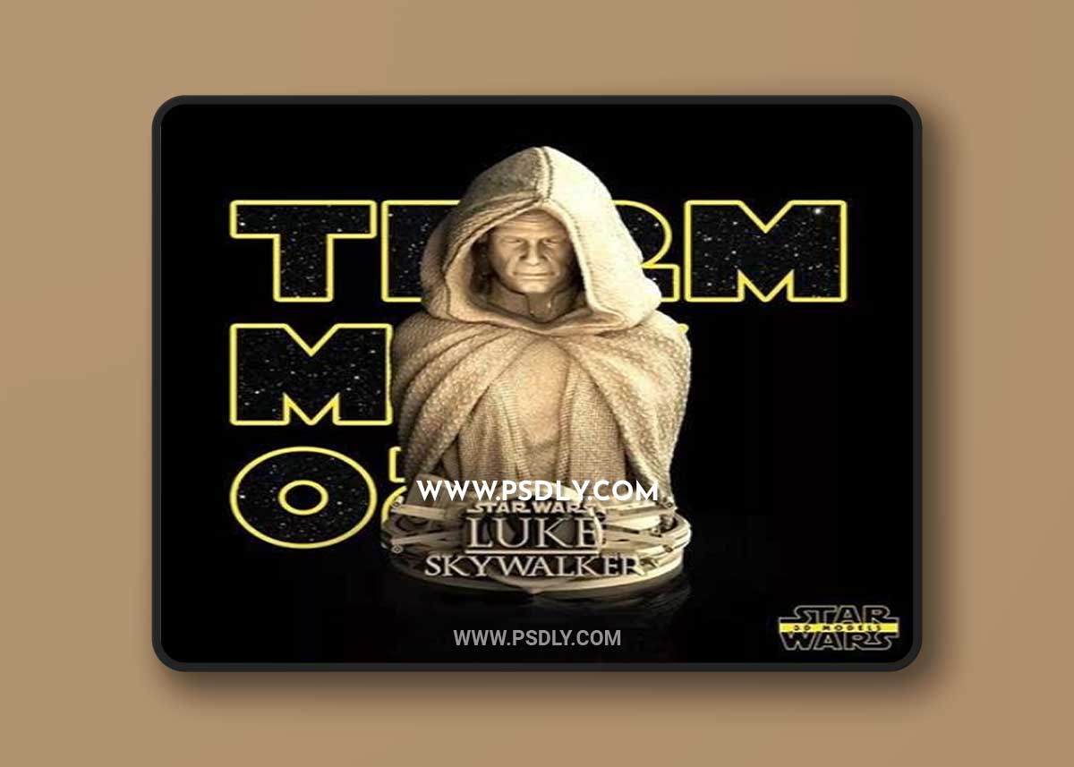 Star Wars – Luke Skywalker Bust 3D Print