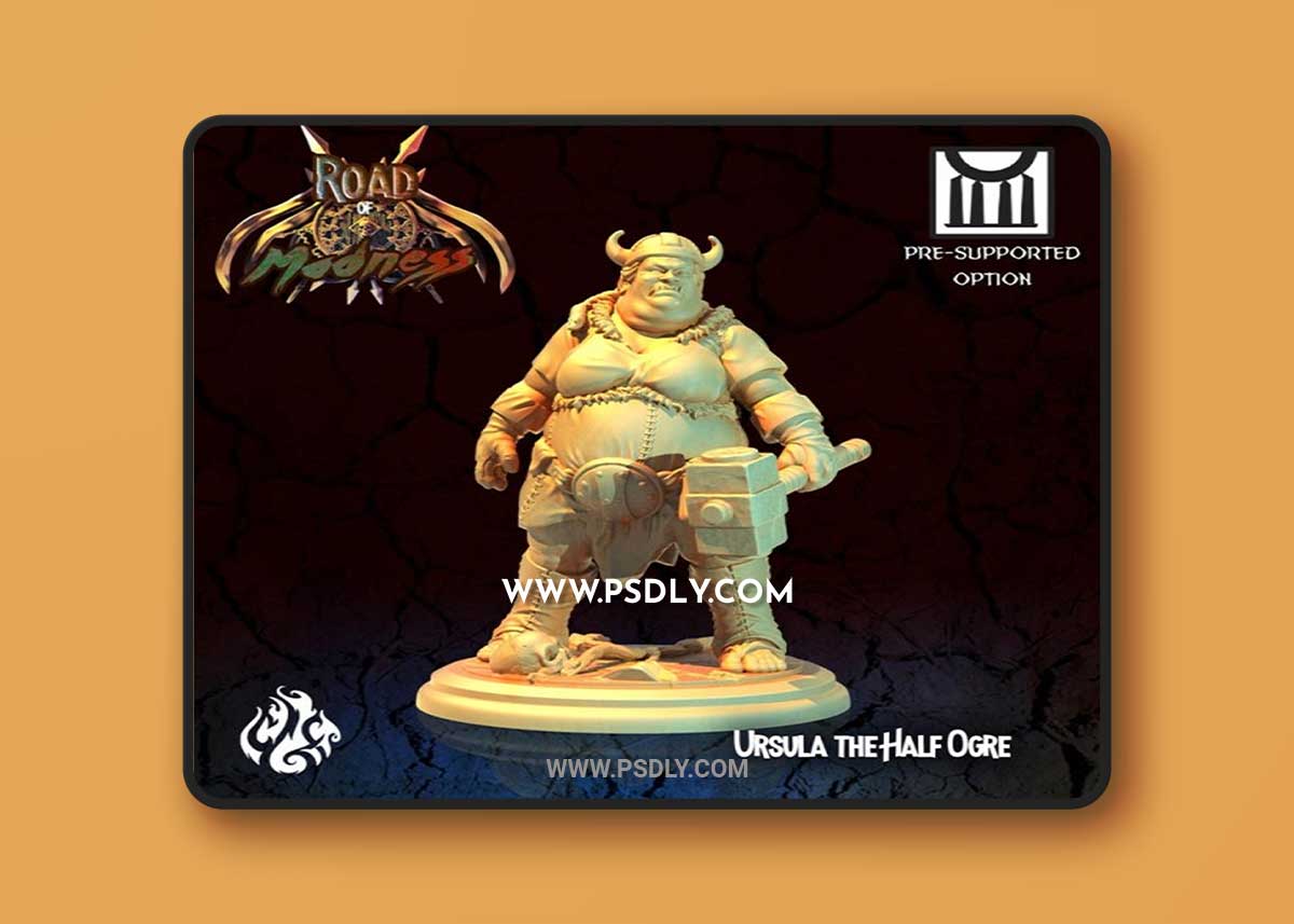 Ursula the Half Ogre Bandit 3D Print