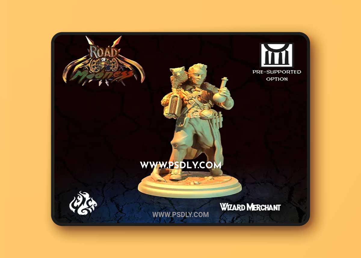 Wizard Merchant 3D Print