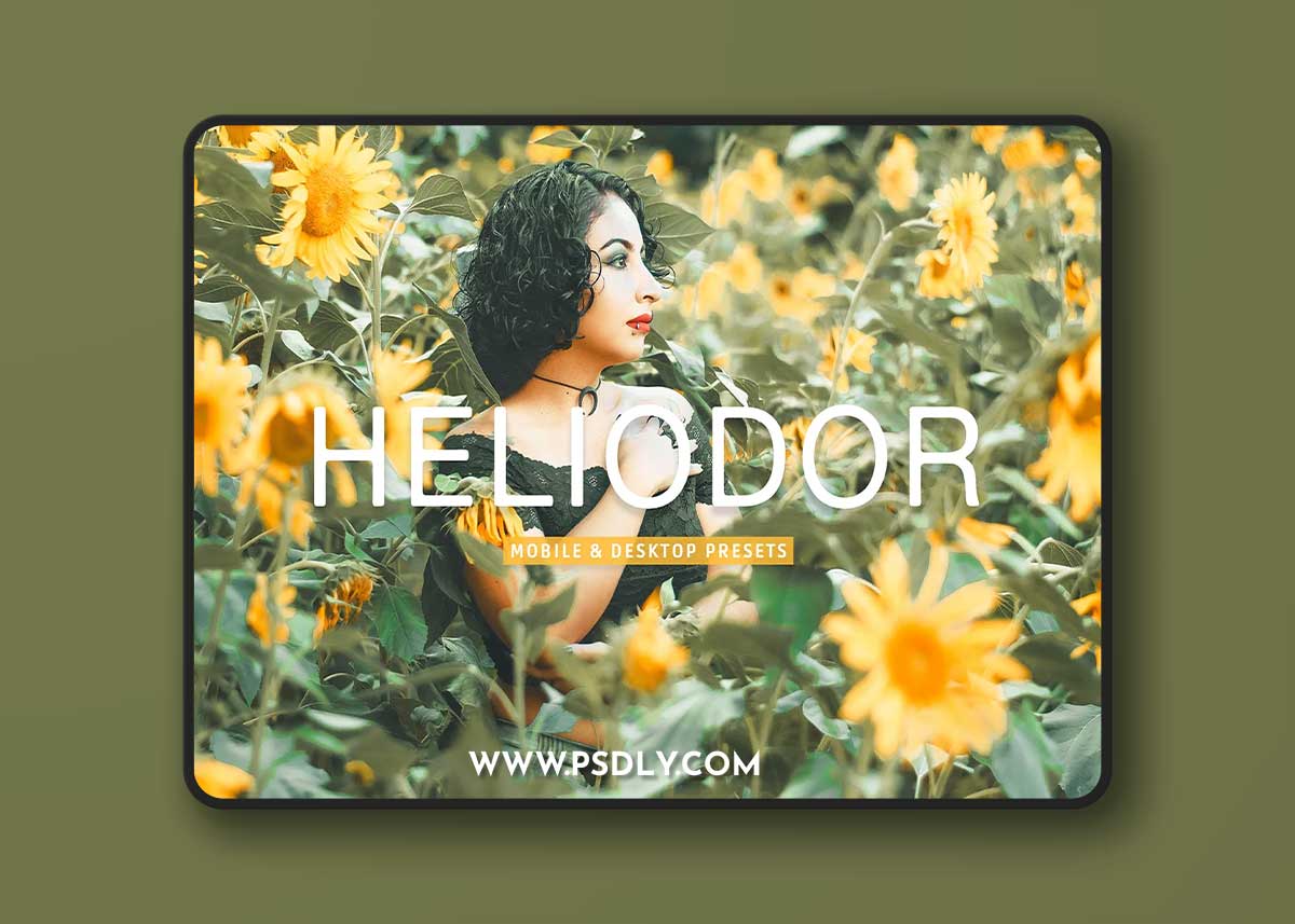 CreativeMarket - Heliodor Pro Lightroom Presets 10277029