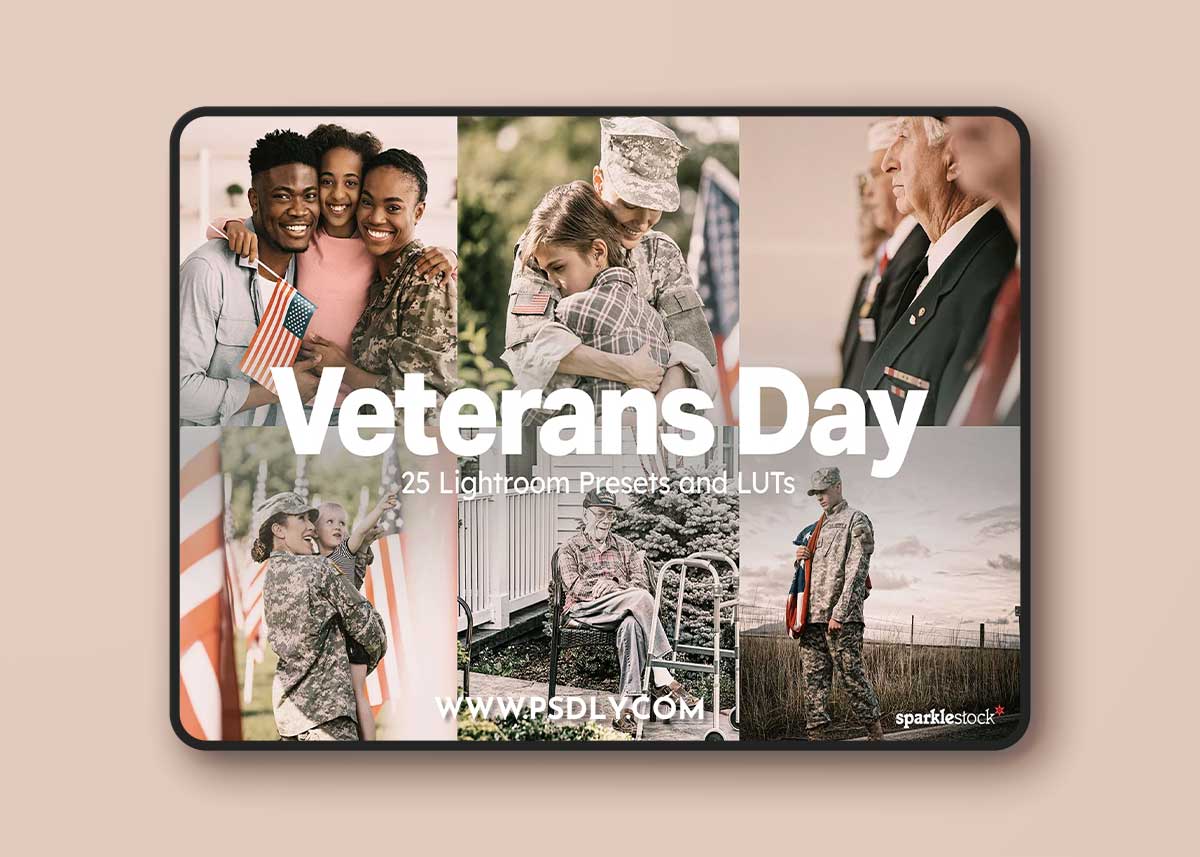 Creativemarket - Veterans Day Lightroom Presets and LUTs 10307039