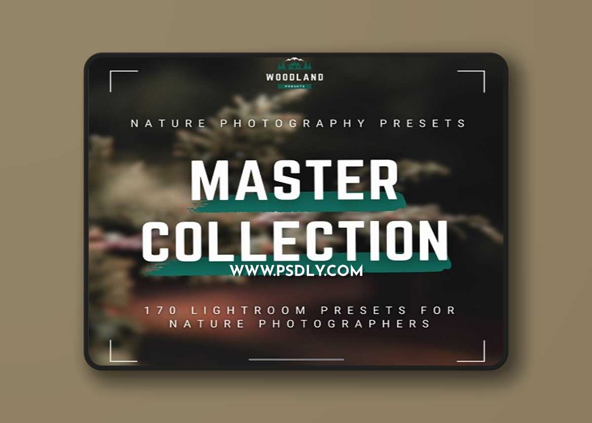 Woodland - Master Collection including Limited - Lightroom Presets Pack