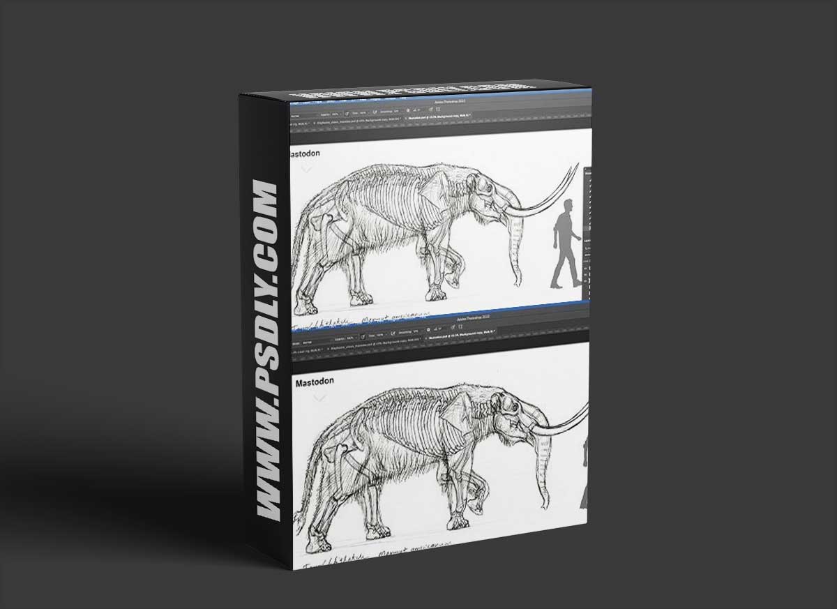 The Gnomon Workshop - Elephant Anatomy Vol. 2: Prehistoric Studies & Imaginary Concepts