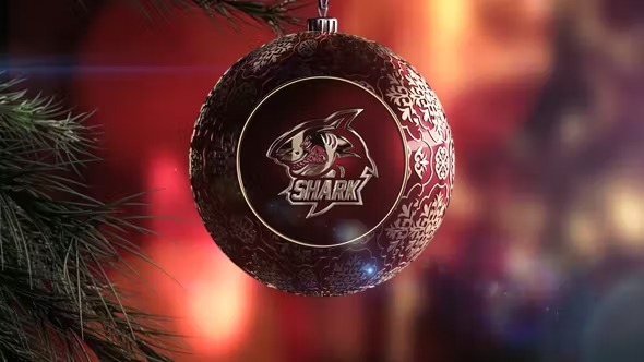 Videohive Merry Christmas Toy 41793985