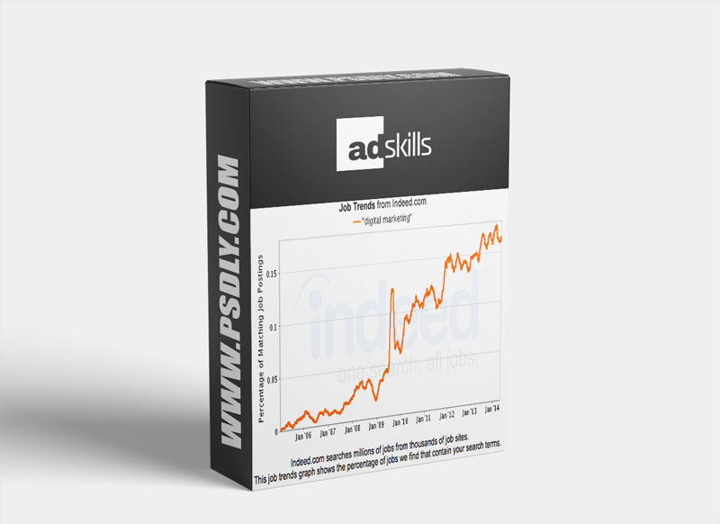 Justin Brooks (AdSkills) The AdSkills Pro 5 Level Progression Matrix Download