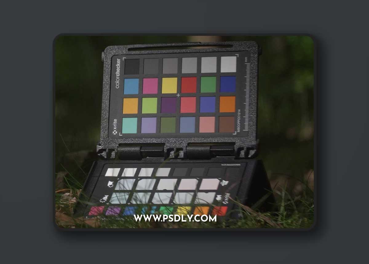 Leeming Lut Pro Panasonic