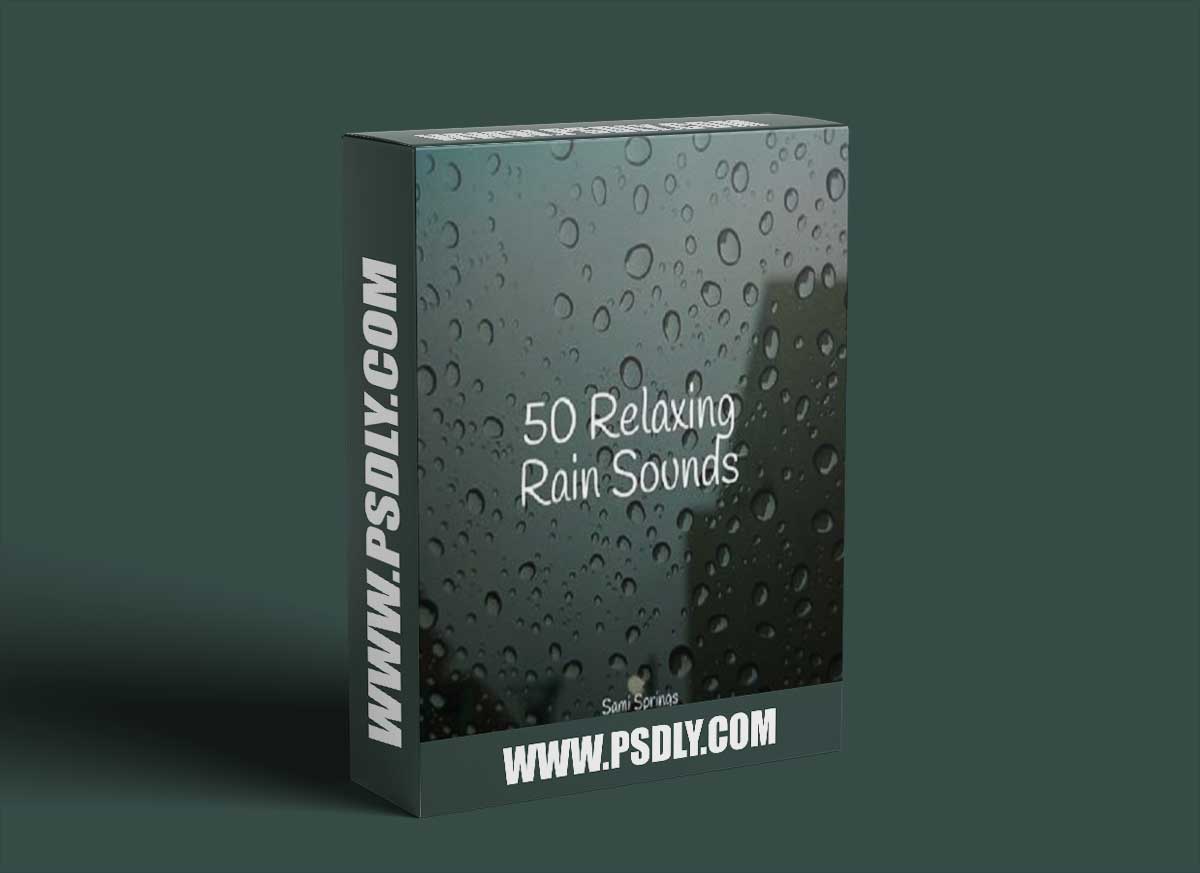 Pro Sound Effects Library 50 Soothing Winter Rain Sounds