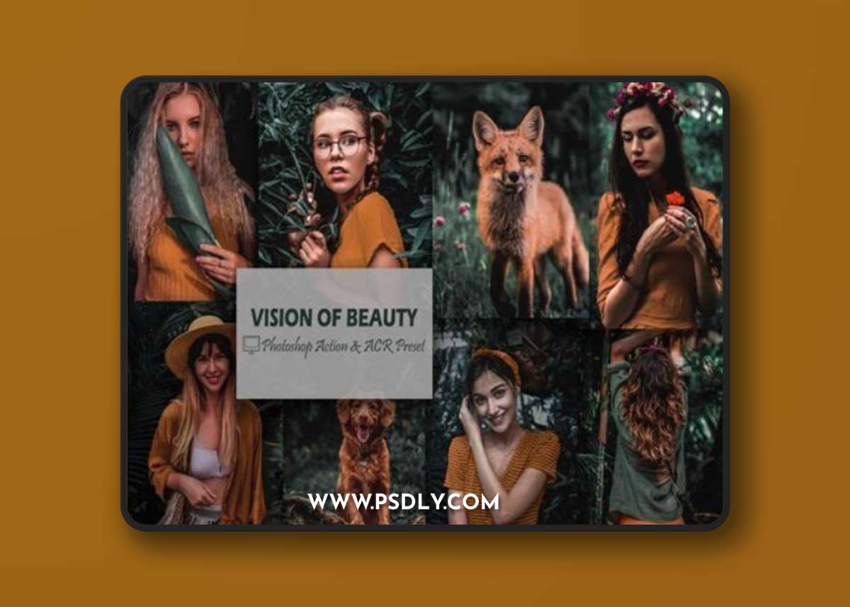 12 Vision of Beauty Photoshop Actions