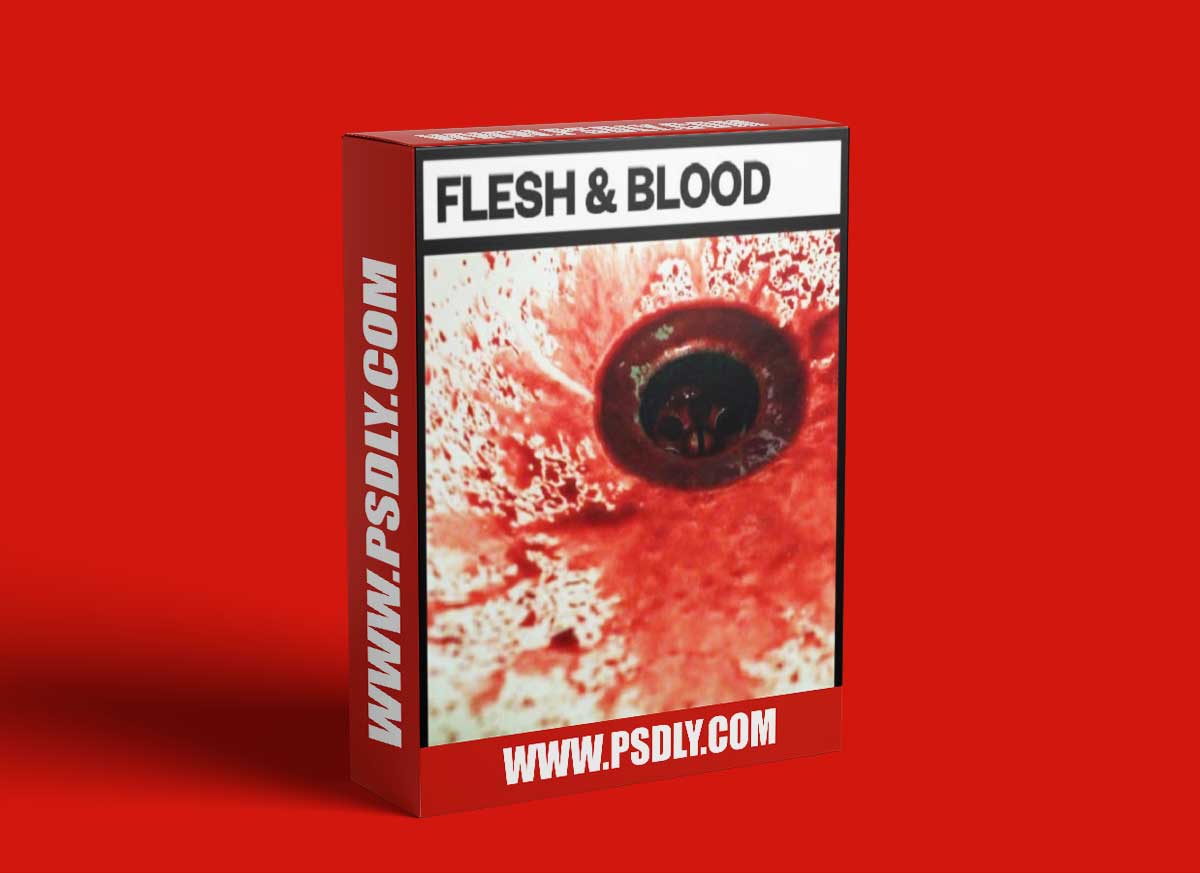 Big Room Sound Flesh and Blood
