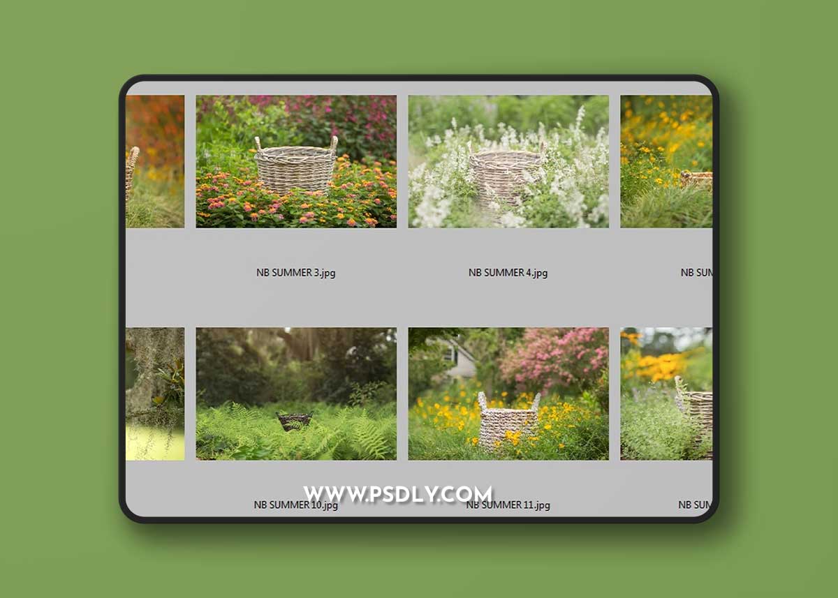 KCC Newborn Digital Backgrounds & Backdrops