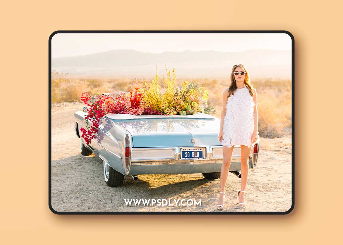 KINDRED - The Mary Costa Collection