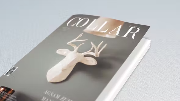 Videohive Book and Magazine Promo 21314752