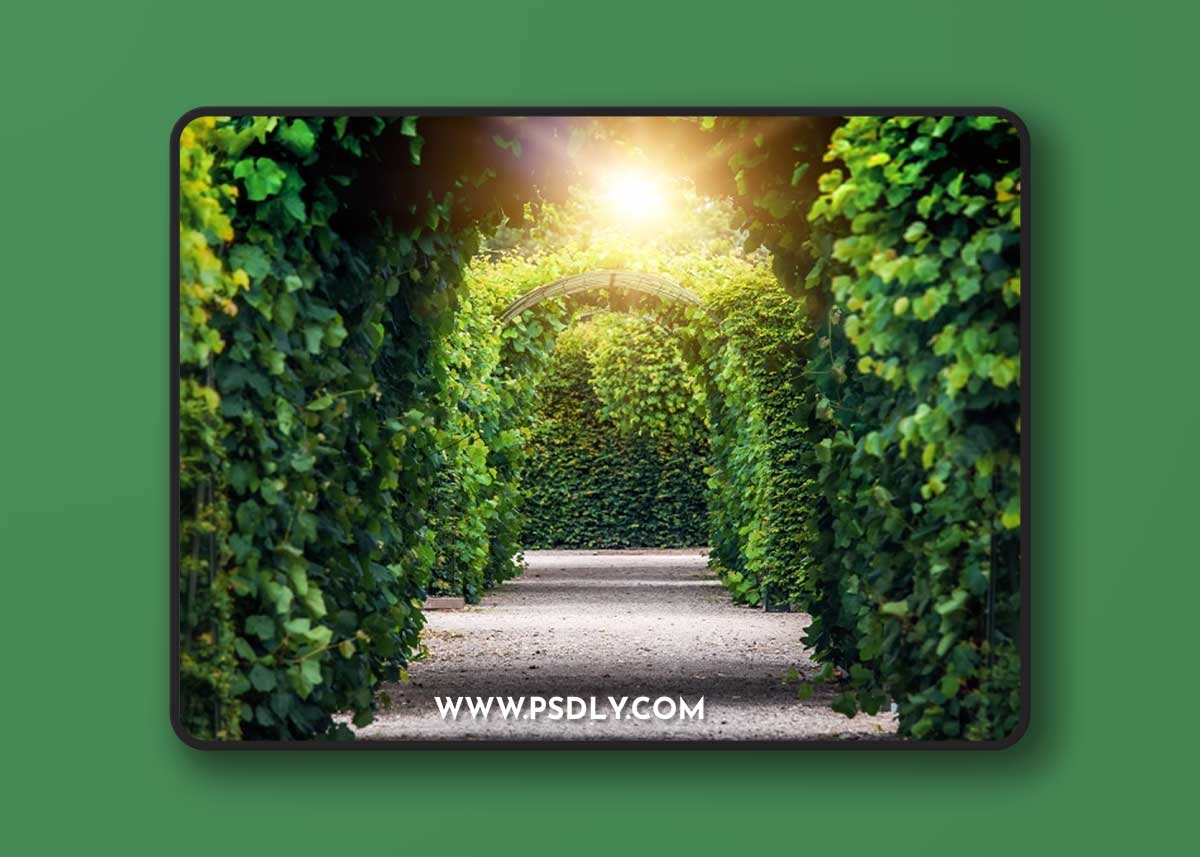 B: Secret Garden Path backdrop