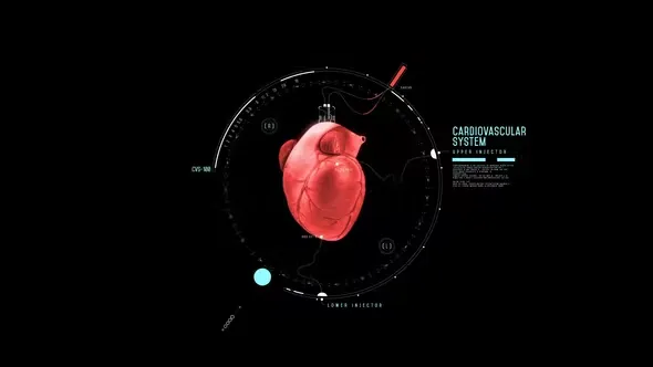 Videohive HUD Heart Chambers 44587954
