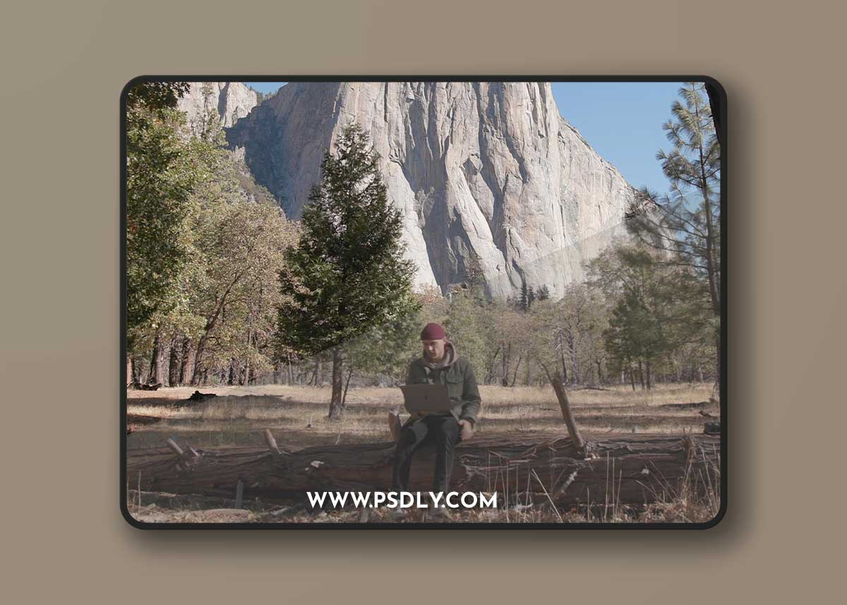 Gamut LUT - Canon Conversion LUTs for C-Log / C-Log 3