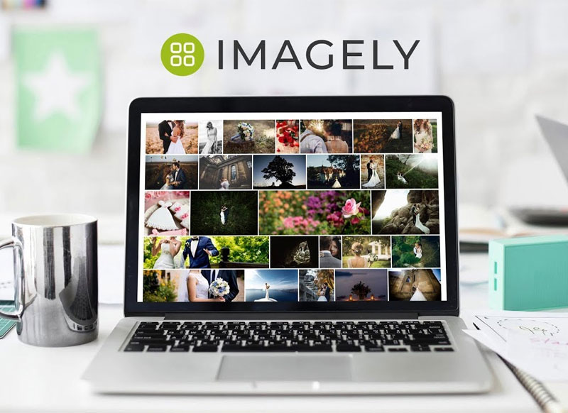 Imagely (v2.3) + Nextgen pro (3.17) + Lightroom Plugin (1.0.22)