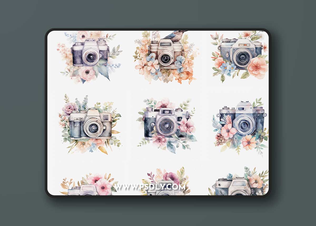 Squijoo - Watercolor Design Elements – Floral Cameras