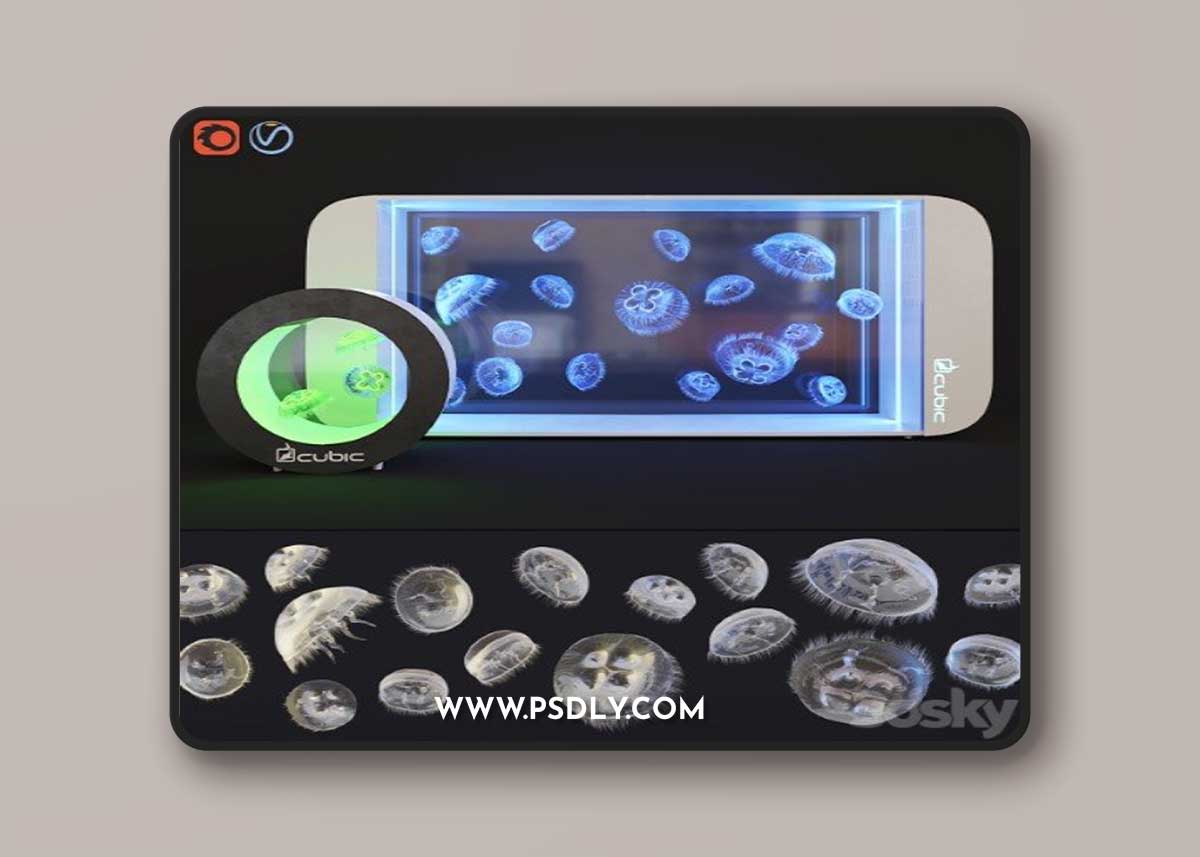 Aquarium for jellyfish Pulse 160/20