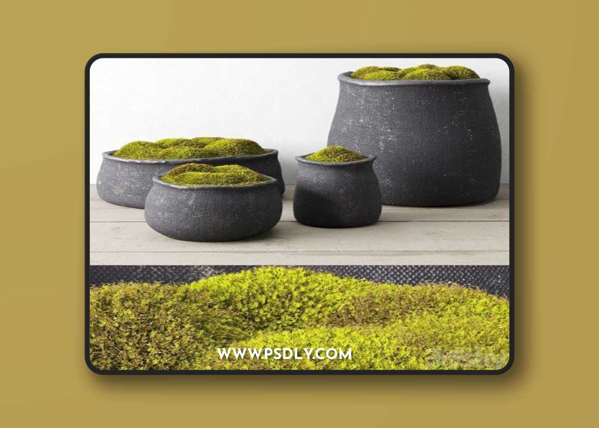 Crosshatch Concrete Vessel Collection With Moss