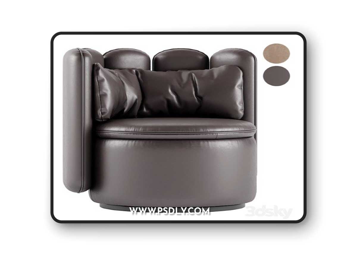 DS 800 Armchair DeSede