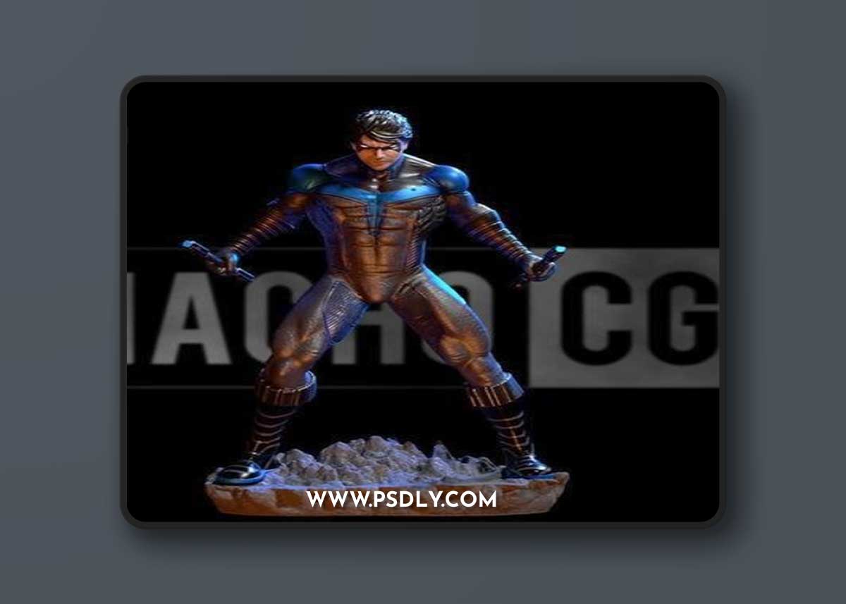Fanart - Nightwing - Statue and Bust Standalone Version – 3D Print Model