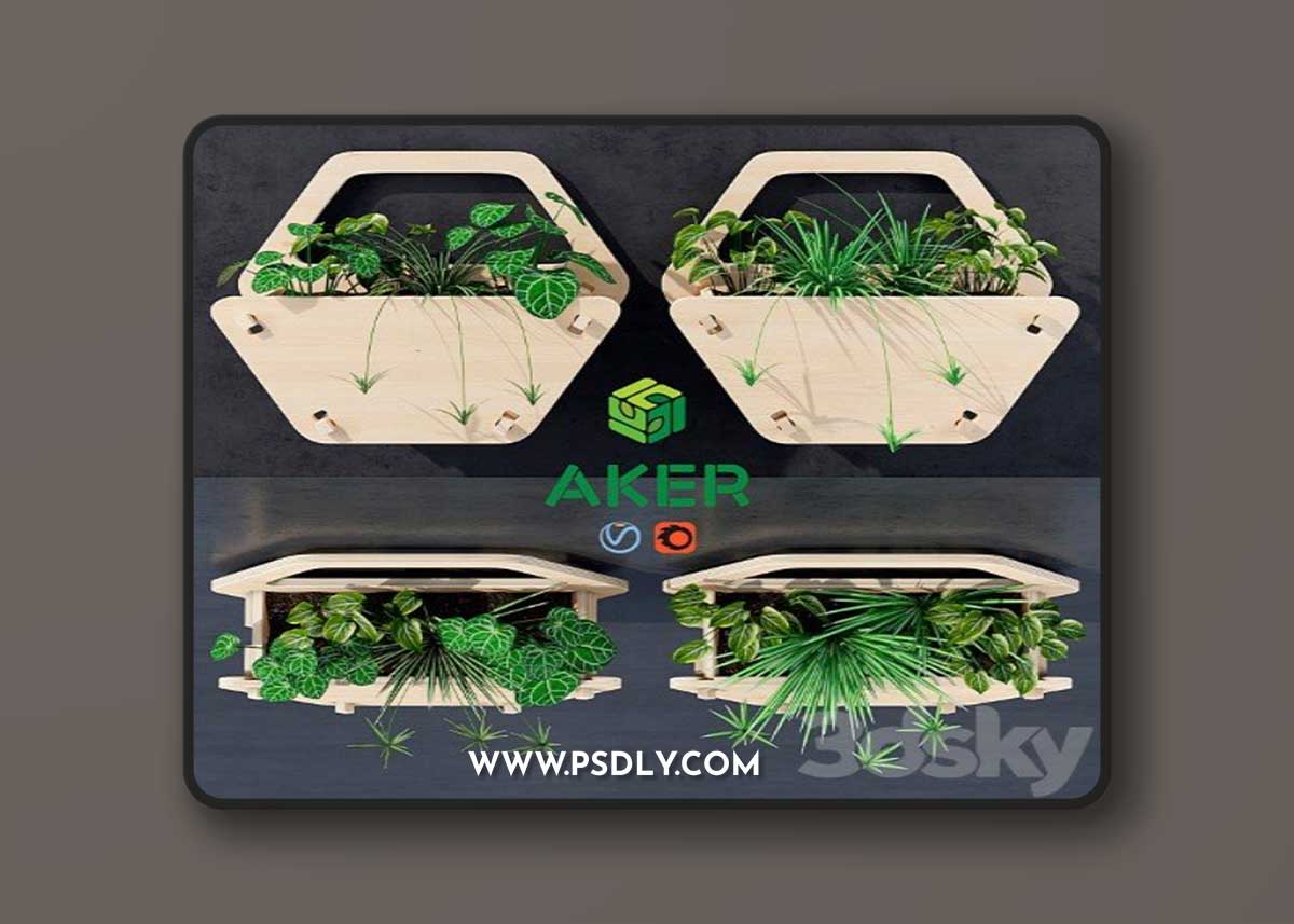 Hexagon wall planter