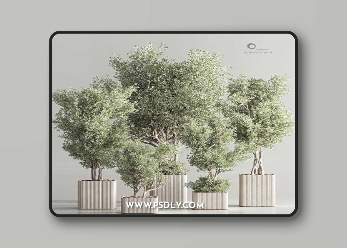 Indoor Plant Set 82 3D Model