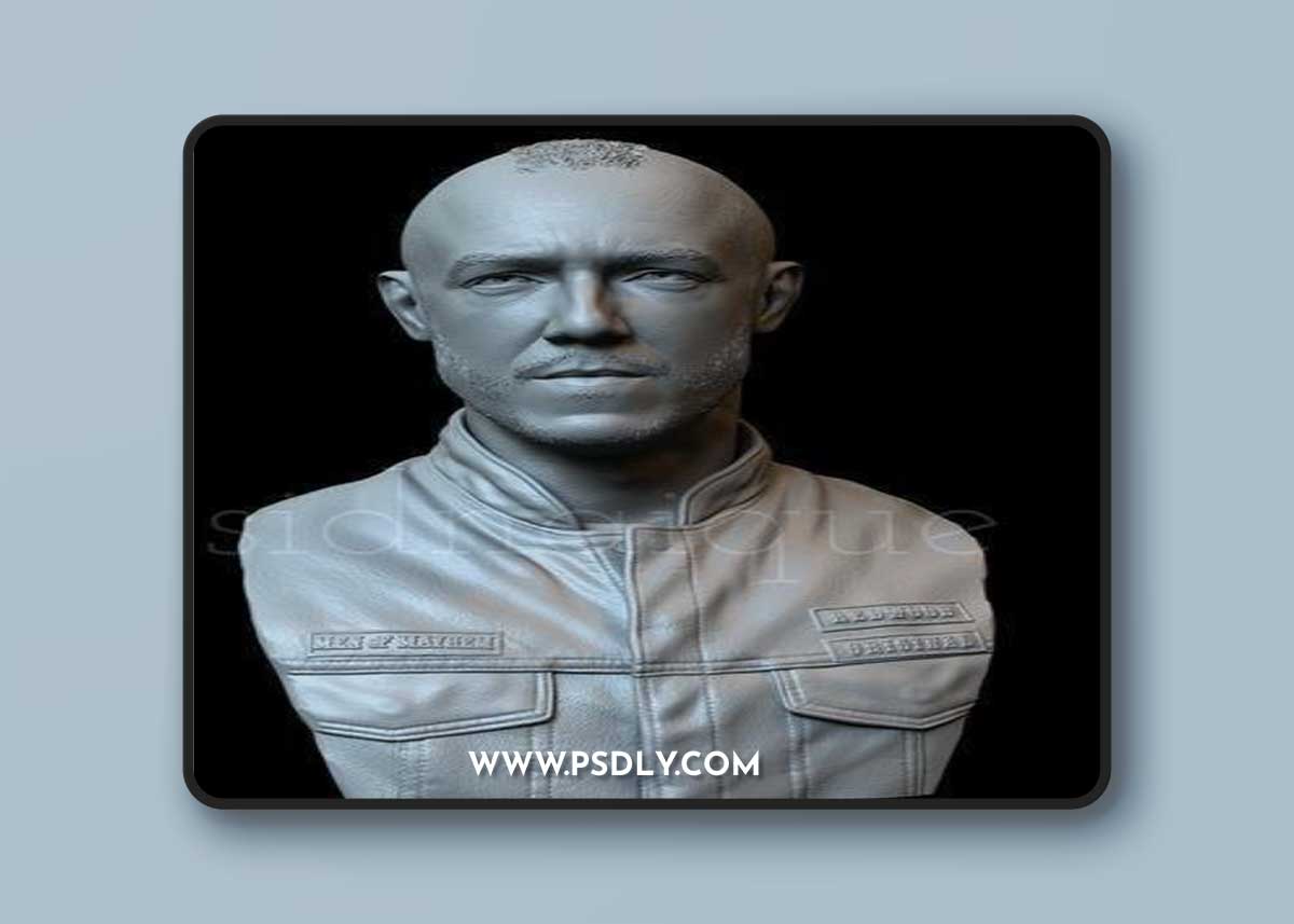 Juice Bust – 3D Print Model