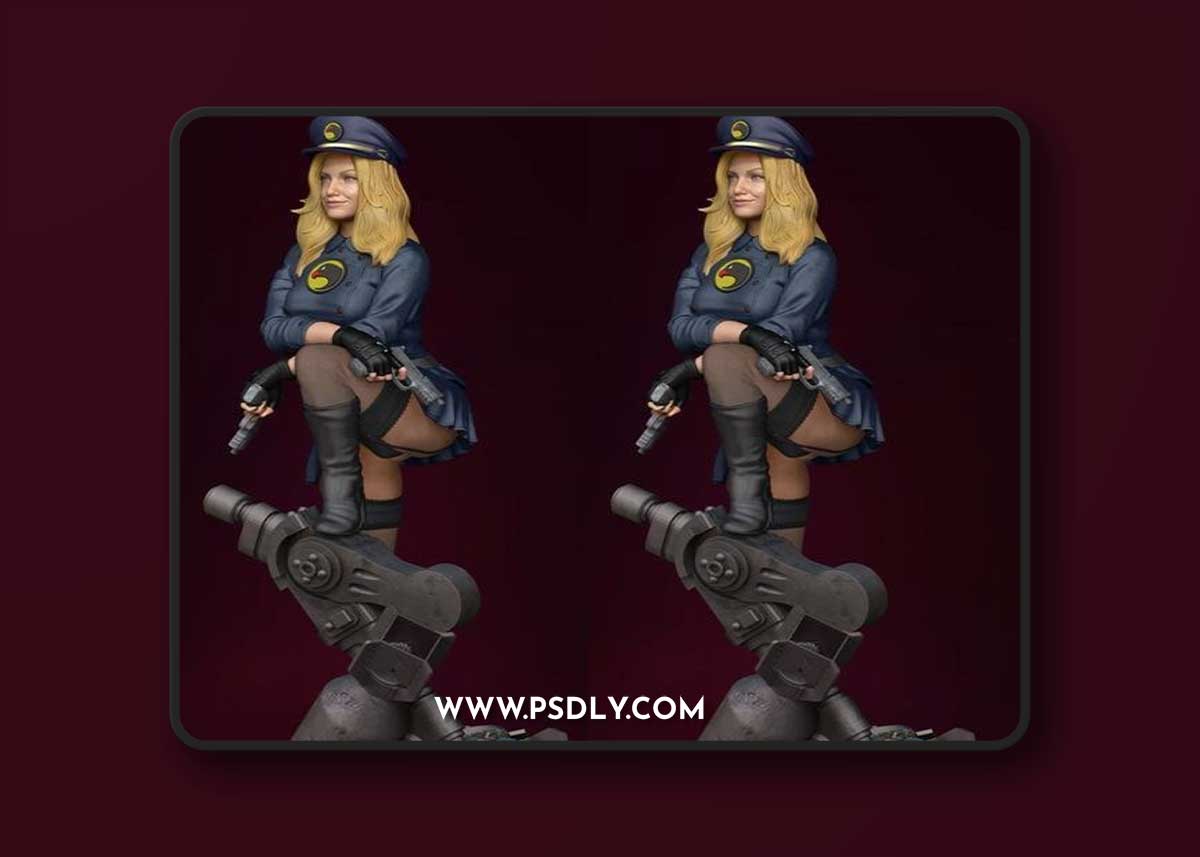 Lady Blackhawk DC – 3D Print Model