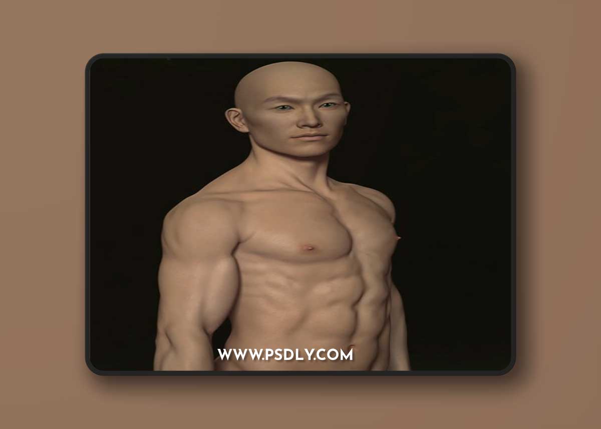 Lee 6 Carrara Shaders