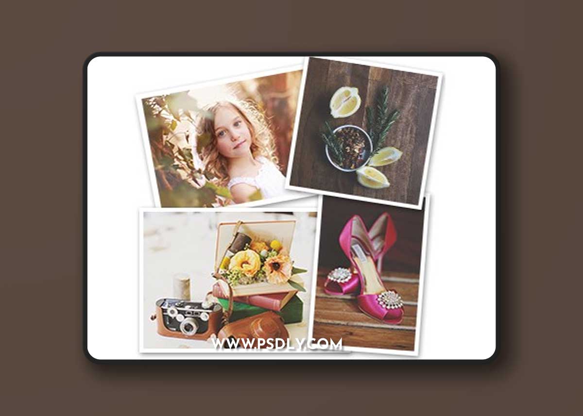 Michelle Kane Photography: Half Light Collection