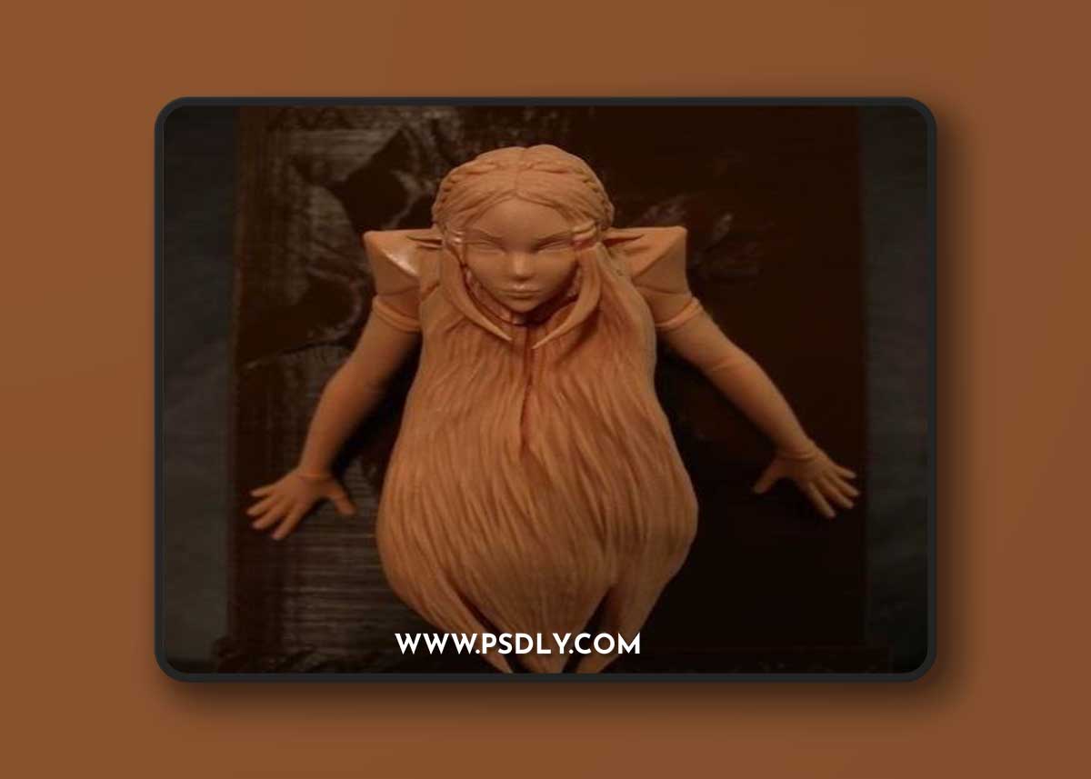 Momoji - Zelda Stuck on Wall – 3D Print Model