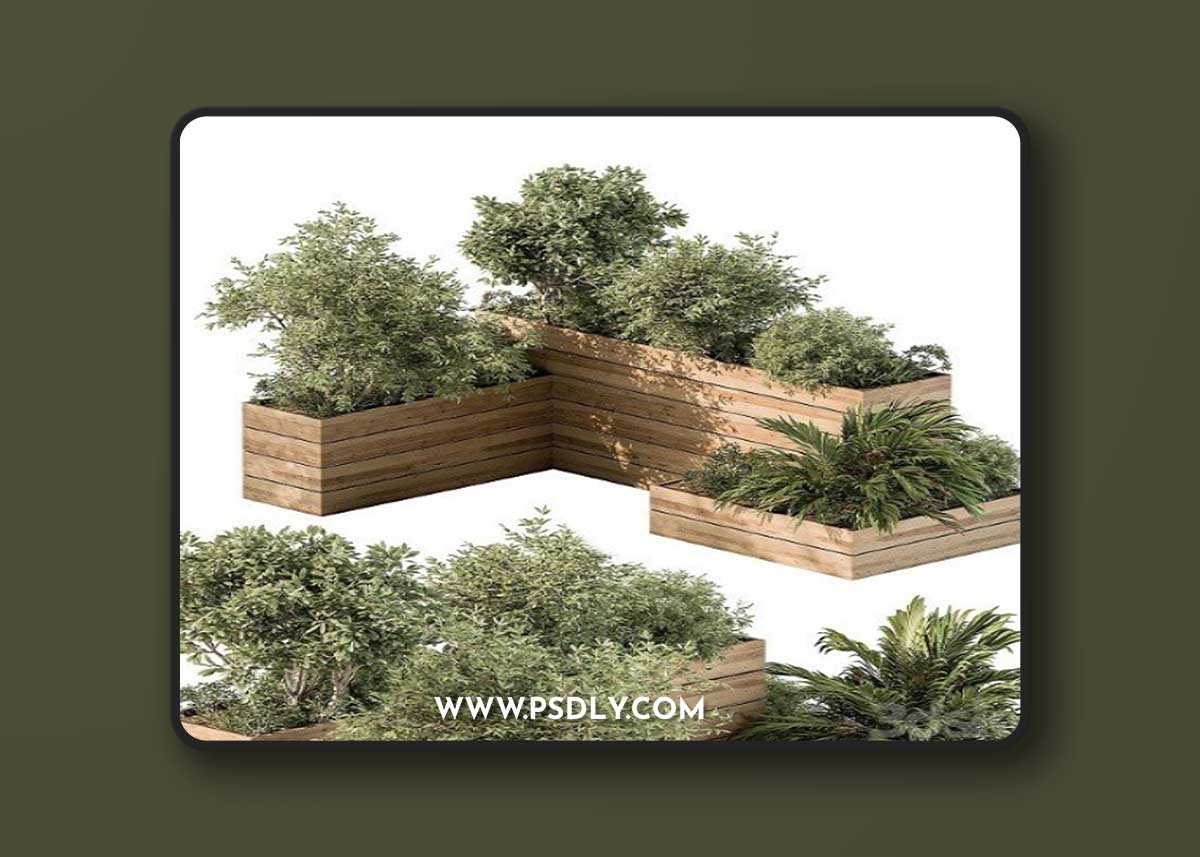 Plant-Box-Outdoor-Plants-487