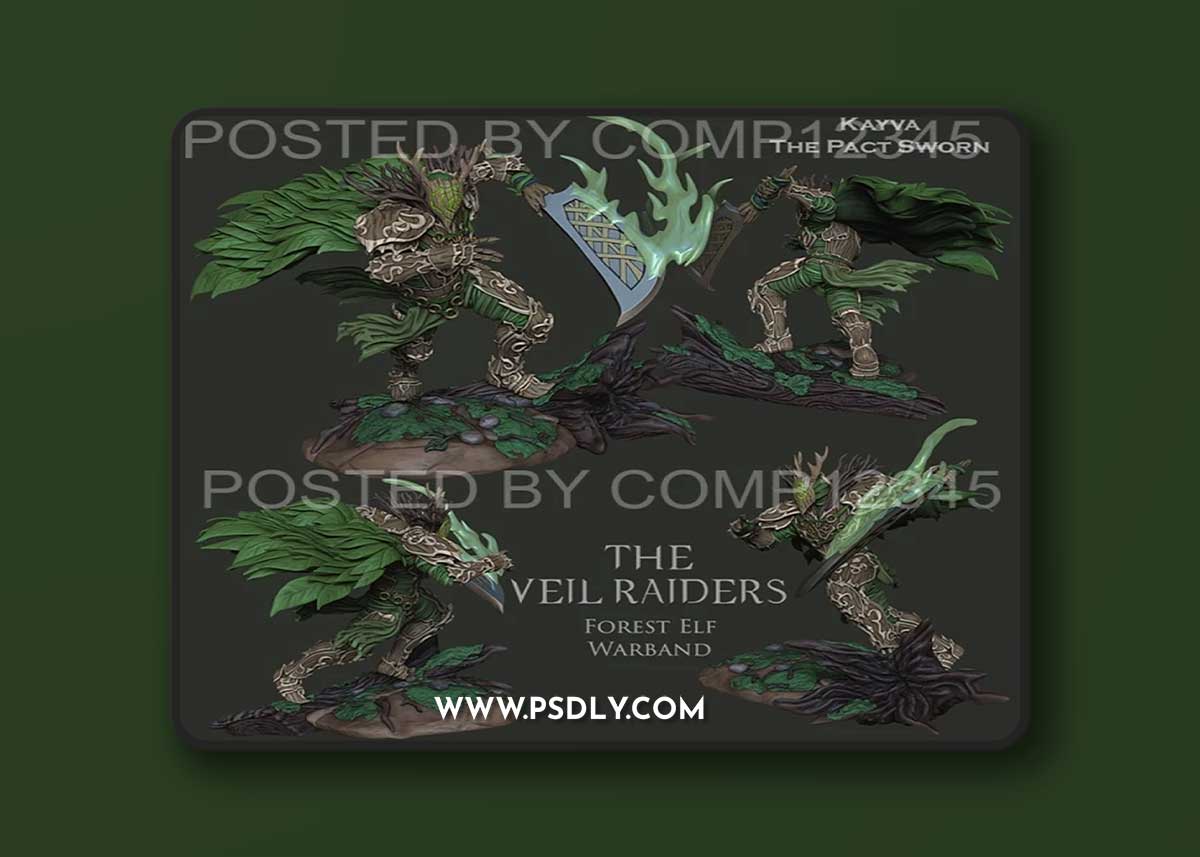 Raiders Dariash – 3D Print Model