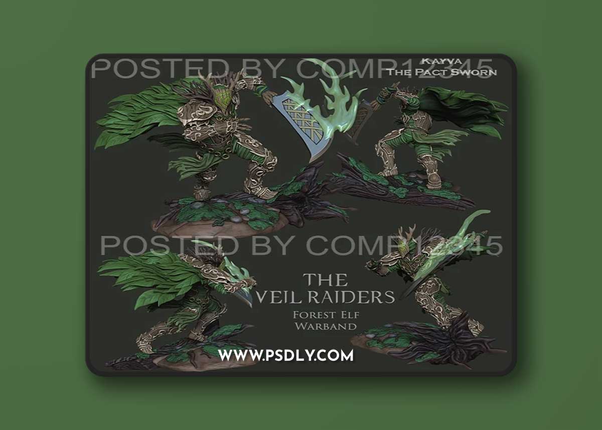 Raiders Kaiva – 3D Print Model