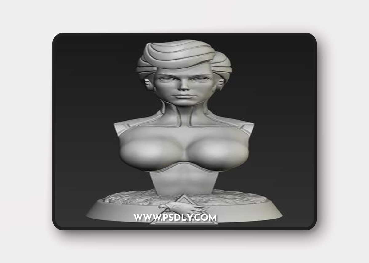 Silver Hawks Steelheart - Busto e Estаtua – 3D Print Model
