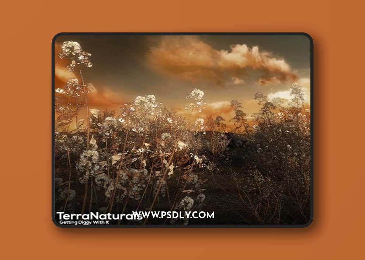 TerraNaturals - Desert