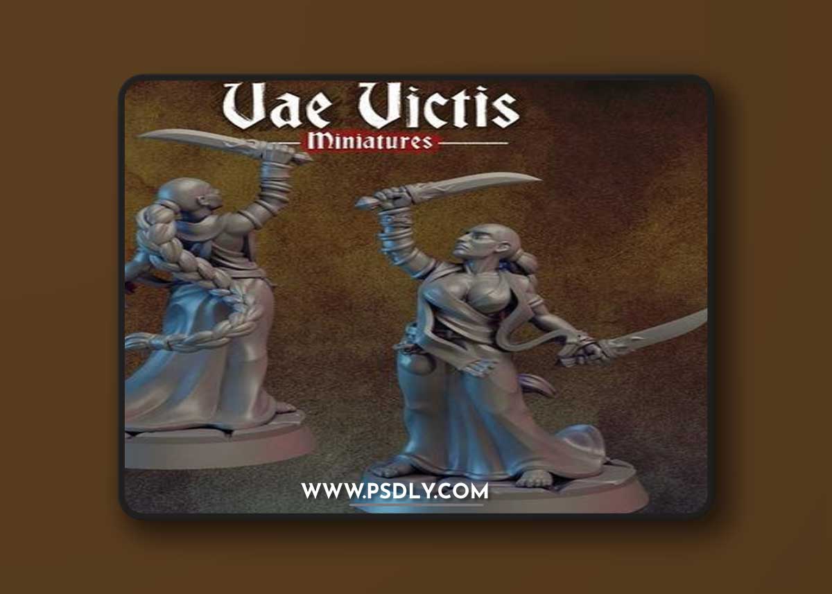 Vae Victis - Augur and Hammer Warrior and Sword Mercenary – 3D Print Model
