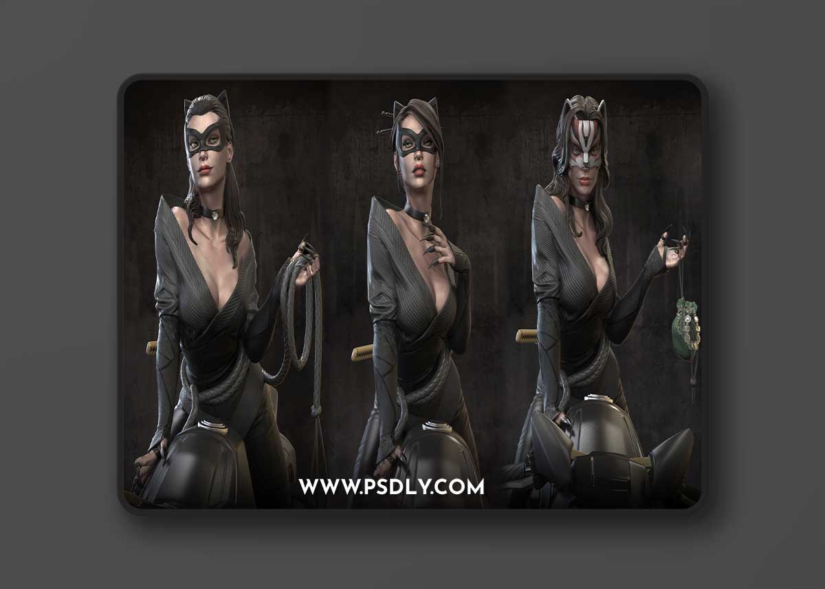 XM Studios - Catwoman – 3D Print Model