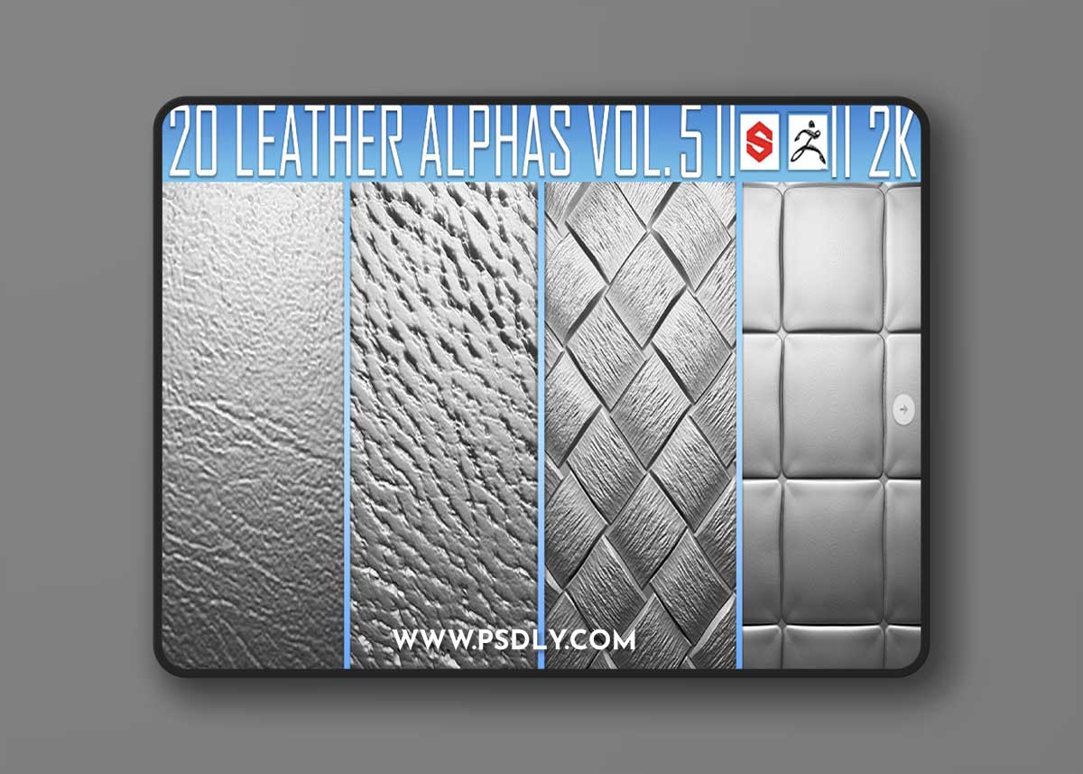 Artstation - 20 Leather Alphas Vol.5 (ZBrush, Substance, 2K)
